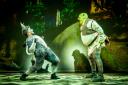 A scene from Shrek the Musical