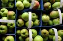 Scientists have discovered a new method of squeezing apple juice which may help to boost its health benefits (Gareth Fuller/PA)