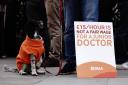 A dog joins junior doctors on the picket line outside St Thomas’ Hospital, central London (Aaron Chown/PA)