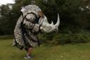 Runner set to stampede through marathon in rhino costume for charity