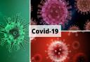 A further 32 Covic cases have been reported.