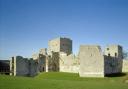 The group were found close to Portchester Castle.