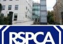Southampton Magistrates Court and RSPCA logo
