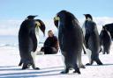 Professor Dame Jane Francis surrounded by penguins
