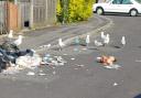 New Milton residents have called for wheelie bins after animals have been known to rip the bags apart for food.