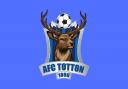AFC Totton's new badge is designed to better represent the New Forest