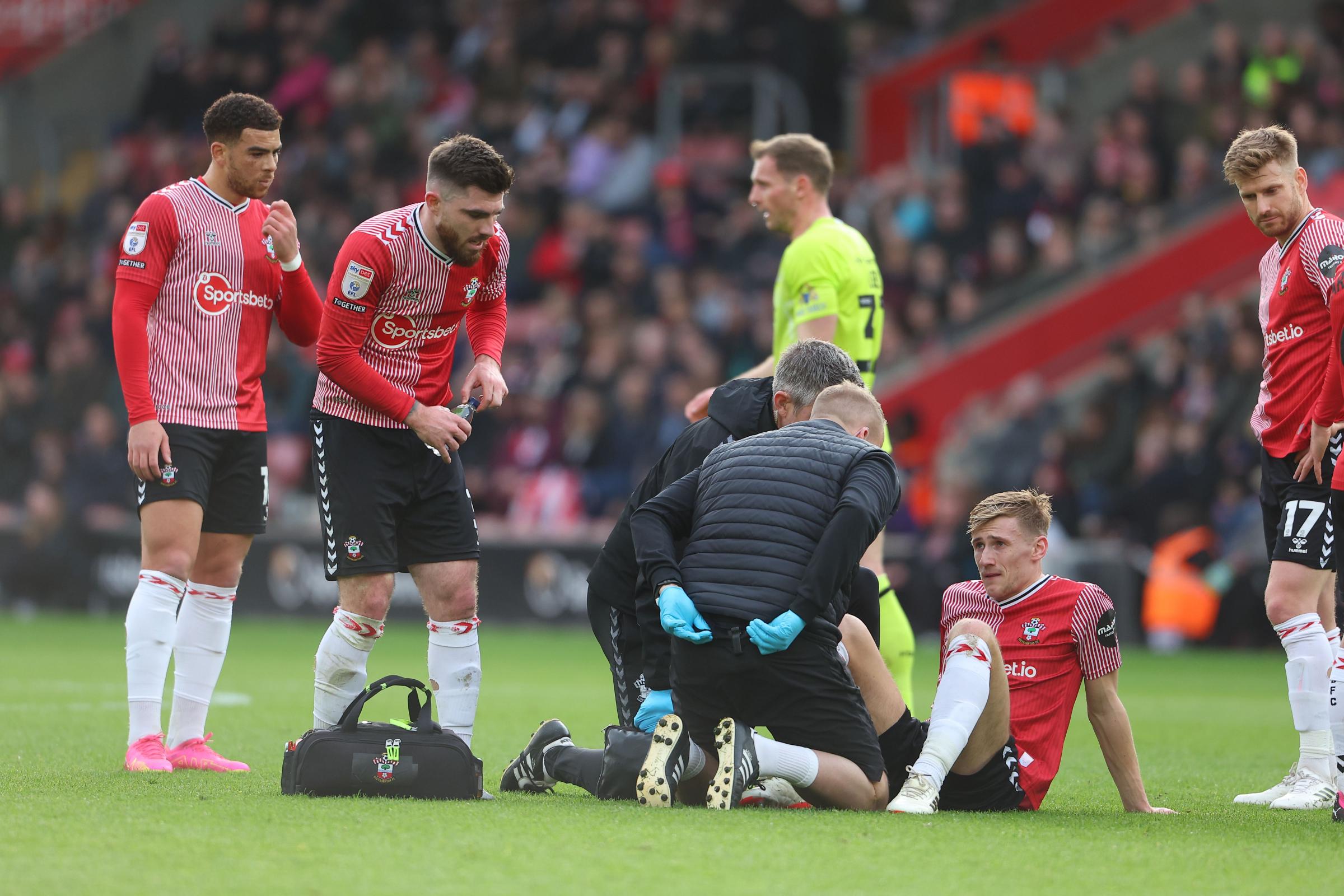 Southampton's Martin gives update on Downes, Adams and Aribo's return
