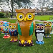 Percy Owl trail at Paulton's Park