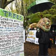 Marlhill Copse has been the scene of protests by environmentalists opposed to the felling of trees