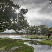 Taps run dry as Storm Ciaran forces shutdown of Southern Water site