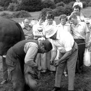 Hampshire Country Fair in 1979.  A blacksmith draws in a group of spectators at the Hampshire Country Fair.