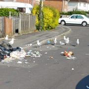 New Milton residents have called for wheelie bins after animals have been known to rip the bags apart for food.