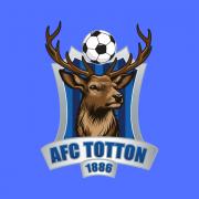 AFC Totton's new badge is designed to better represent the New Forest