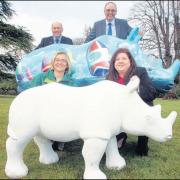 Southampton Hoteliers are among the 17 groups to sponsor a rhino so far.