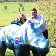 Greenspan Projects joins the Go! Rhinos project