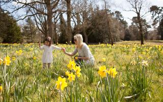 A  mum and daughter enjoying Exbury Gardens