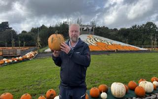 Sunnyfields Farm owner Ian Nelson standing in front of their 10,000-pumpkin Beetlejuice display, while holding one of his own grown pumpkins.