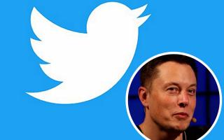Tesla boss Elon Musk buys 73.5 million Twitter shares. Pictures: PA