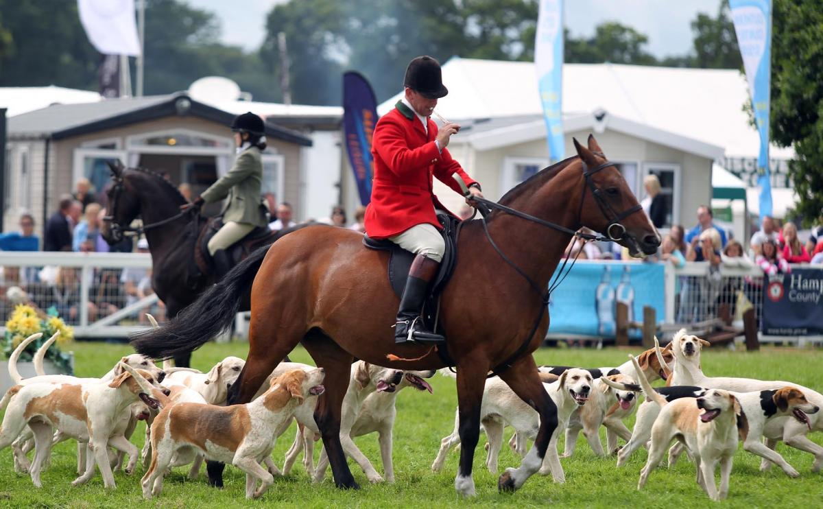 2015 New Forest Show