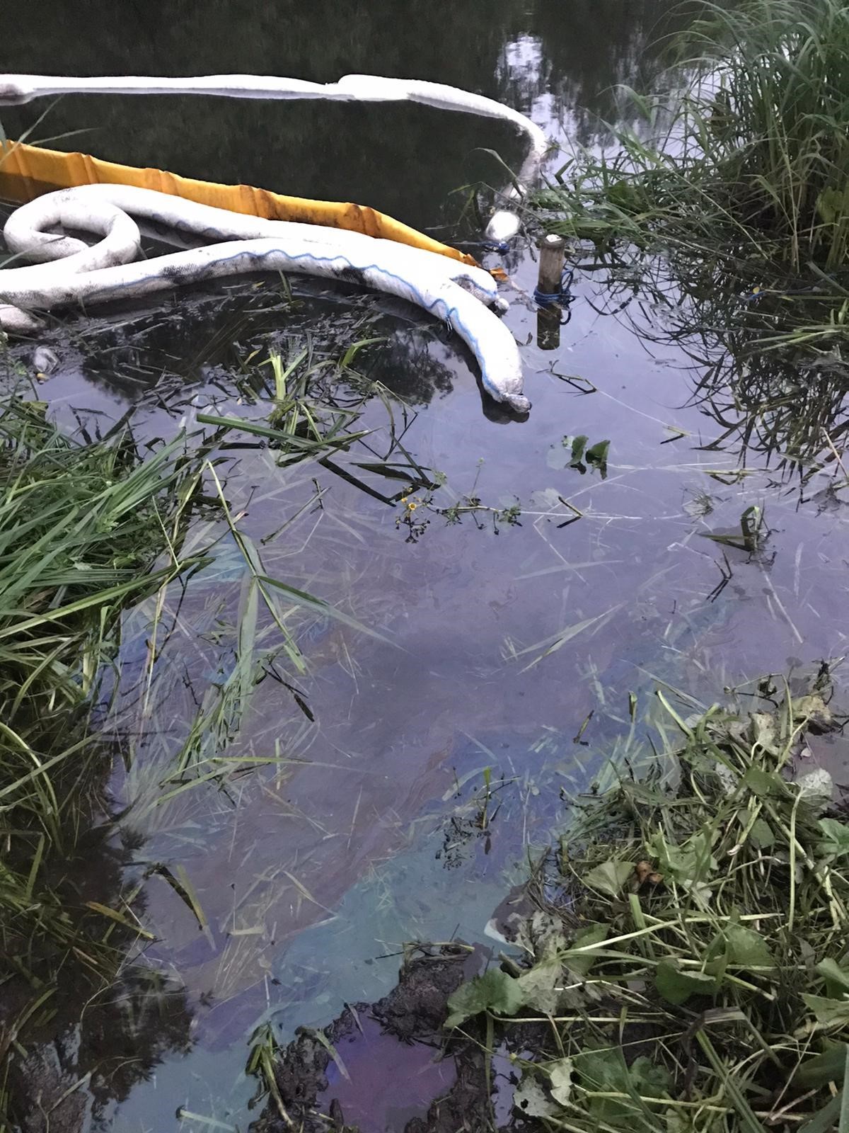 Southern Water Faces Prosecution For Pollution In The River Test ...