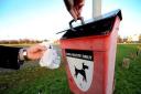 Stock image of a dog poo bin.