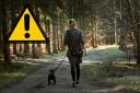 UK dog owners issued £2,000 warning over their pet's collar. (Canva)