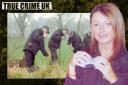 The Unsolved Murder of Claudia Lawrence