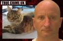 The Brighton Cat Killer