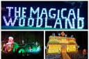 The Magical Woodland is open until December 24