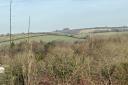 Shawford Down, by Janet Kirby