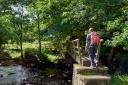 If you need some fresh air this weekend, take a look at these walking trails in County Durham to explore