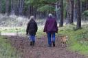If you want to get out for some fresh air, there are plenty of village walks you can do near Bolton - here are five of them