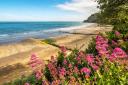 Shanklin beach