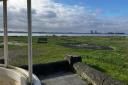 The view at Weston Shore, as the playground has been removed after being left in disrepair for years.