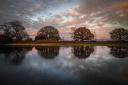 Hang Ross shot the gorgeous reflection in the New Forest