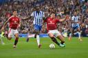 Danny Welbeck in action for Brighton & Hove Albion against Manchester United