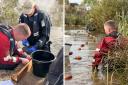 The Environment Agency’s fisheries team have launched their annual netting programme for 2024/2025