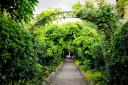 This June, more than 100 private gardens in London will open to the public for one weekend only.