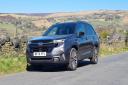 The Subaru Forester caches the Autumn sunshine