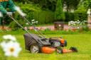 Do you know the best time of day to mow your lawn?