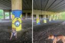 More Minion art appears under bridge near Hapton