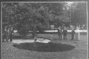 The dark oval in the foreground of this Southampton Pictorial Picture from August 1915 shows the mysterious subsidence that took place in Palmerstone Park on the Sunday Morning of the August Bank Holiday.