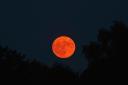 The strawberry moon lighting up the night sky