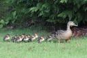 A mother and her children by Jacky Chambers