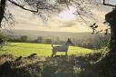 Enjoy the wintry sunset views over Dulverton as you explore the pplentiful footpaths. Photo: Ali Pegrum