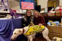 From left to right Sophie Vye, Welfare Operations Manager at Staffie & Stray Rescue, Lisa Kelly from the Kings Hotel Group and Hattie the greyhound.