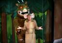 The Gruffalo, The Witch and the Warthog, Pictures: Steve Ullathorne