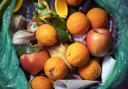 Plans unveiled to boost food waste recycling across Hampshire homes
