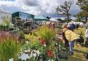 Autumn is 'blooming' with The Garden Show