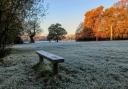 Cold health alert issued for Southampton as temperatures plummet